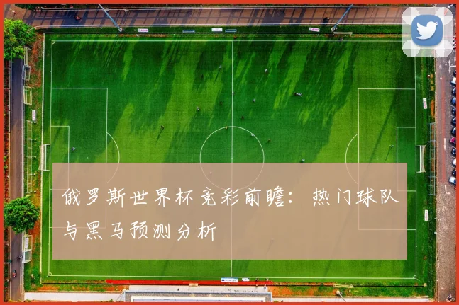 俄罗斯世界杯竞彩前瞻：热门球队与黑马预测分析