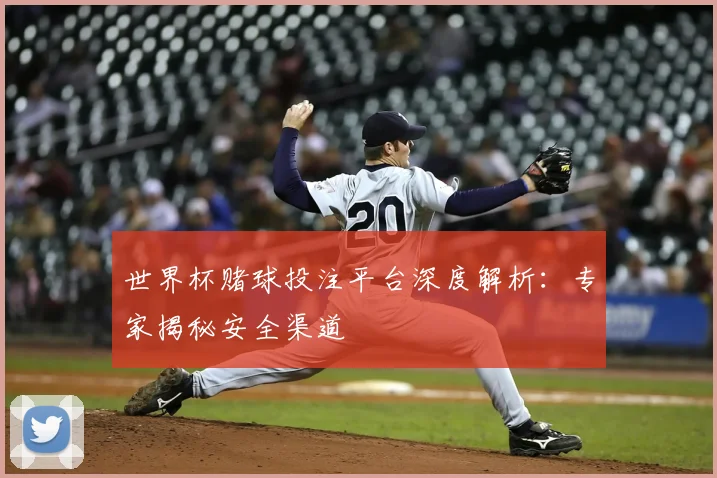 世界杯赌球投注平台深度解析：专家揭秘安全渠道