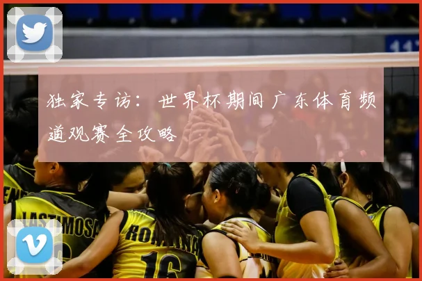 独家专访:世界杯期间广东体育频道观赛全攻略