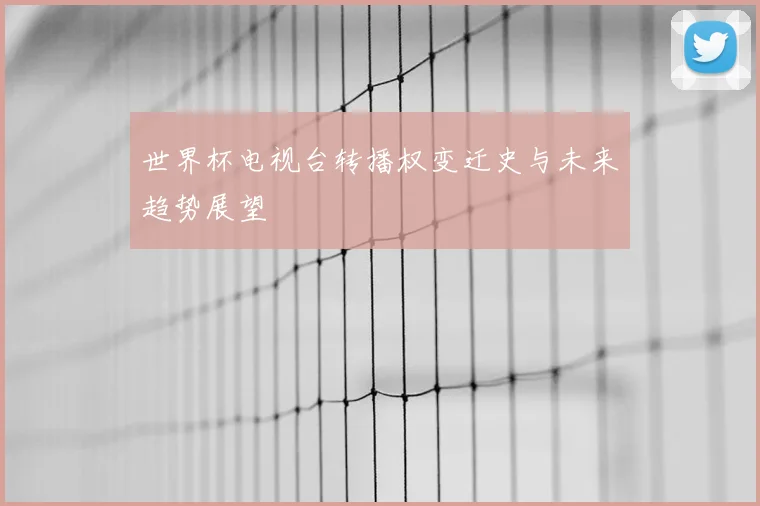 世界杯电视台转播权变迁史与未来趋势展望